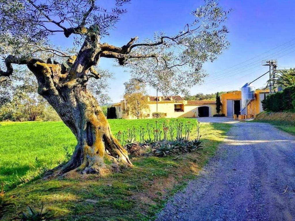 Rural Mas Hortus Villa Girona Kültér fotó